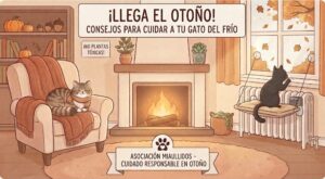 otoño 2026 consejos miaullidos